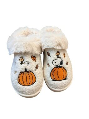 AE Peanuts Snoopy Slippers